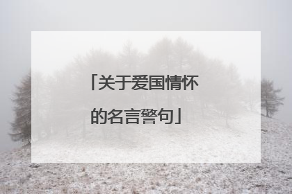 关于爱国情怀的名言警句