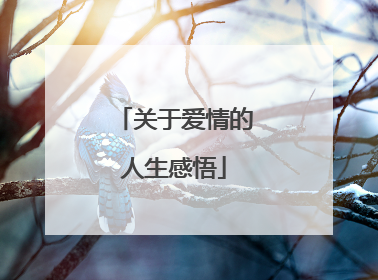 关于爱情的人生感悟