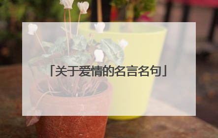 关于爱情的名言名句