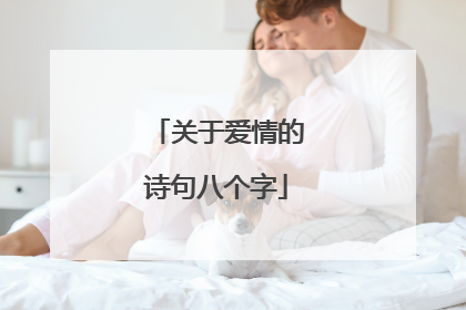 关于爱情的诗句八个字