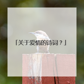 关于爱情的诗词?