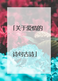关于爱情的诗句古诗