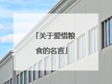 关于爱惜粮食的名言