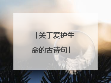 关于爱护生命的古诗句