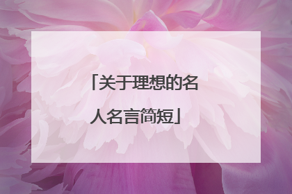 关于理想的名人名言简短