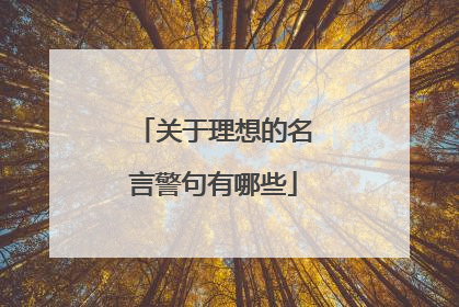关于理想的名言警句有哪些