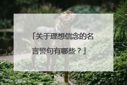 关于理想信念的名言警句有哪些？