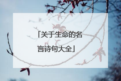 关于生命的名言诗句大全
