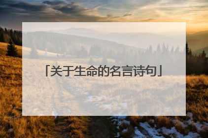 关于生命的名言诗句