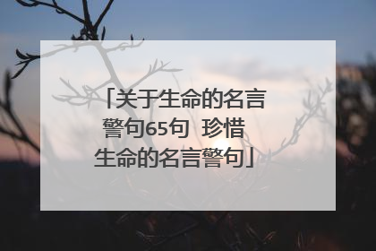 关于生命的名言警句65句 珍惜生命的名言警句