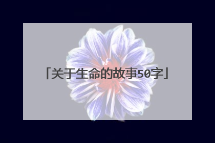 关于生命的故事50字