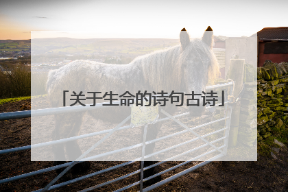 关于生命的诗句古诗