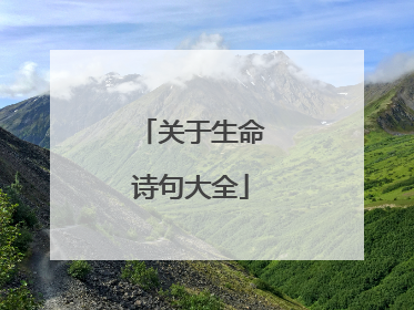 关于生命诗句大全