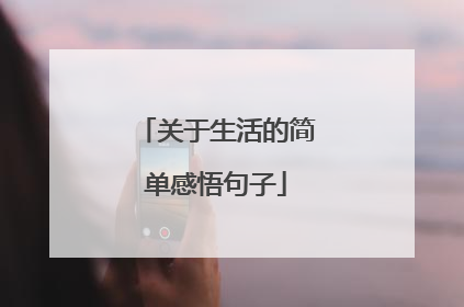 关于生活的简单感悟句子