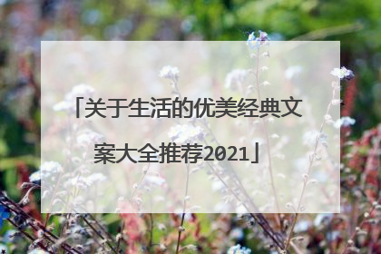 关于生活的优美经典文案大全推荐2021