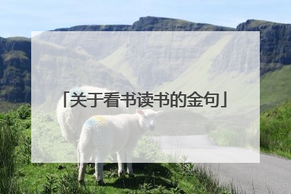 关于看书读书的金句
