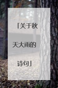 关于秋天大雨的诗句