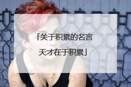 关于积累的名言 天才在于积累
