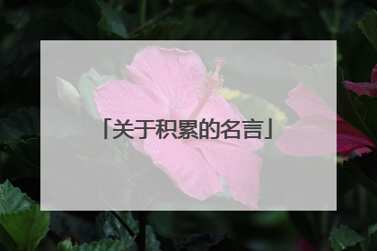 关于积累的名言