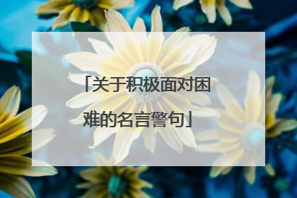 关于积极面对困难的名言警句