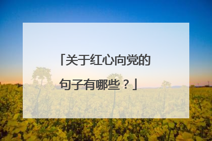 关于红心向党的句子有哪些?