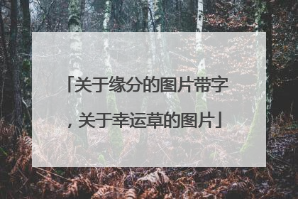 关于缘分的图片带字,关于幸运草的图片