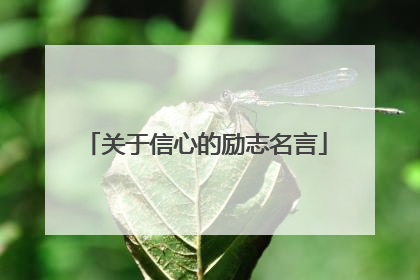 关于信心的励志名言
