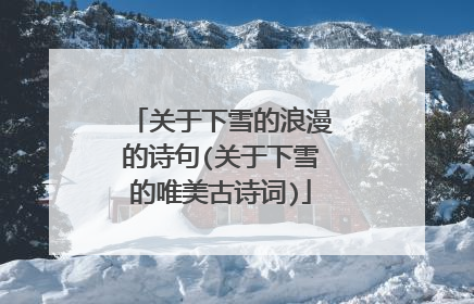 关于下雪的浪漫的诗句(关于下雪的唯美古诗词)