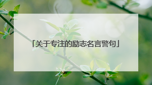 关于专注的励志名言警句