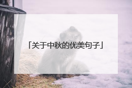 关于中秋的优美句子