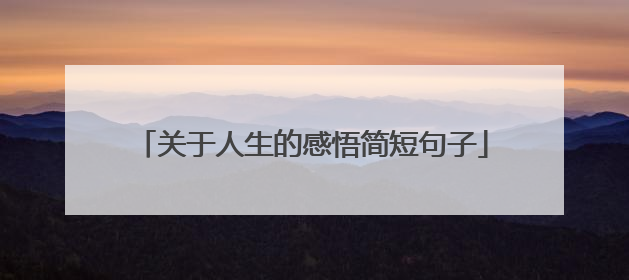 关于人生的感悟简短句子