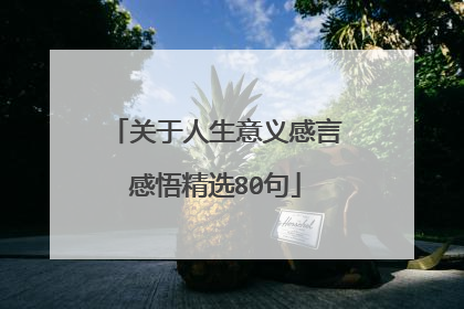 关于人生意义感言感悟精选80句