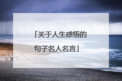 关于人生感悟的句子名人名言