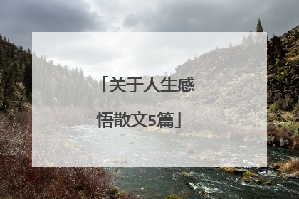 关于人生感悟散文5篇