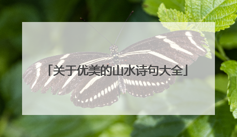 关于优美的山水诗句大全