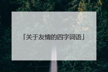 关于友情的四字词语