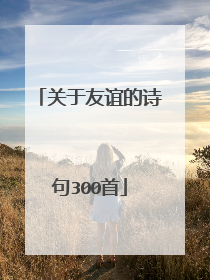 关于友谊的诗句300首