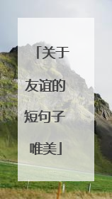 关于友谊的短句子唯美