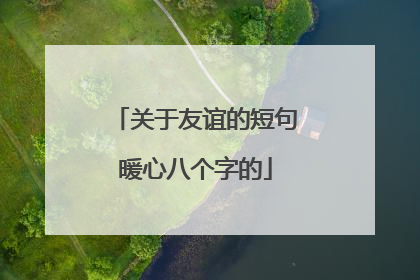 关于友谊的短句暖心八个字的