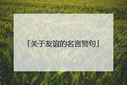 关于友谊的名言警句