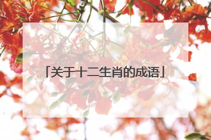 关于十二生肖的成语