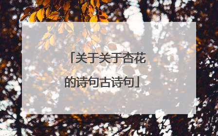 关于关于杏花的诗句古诗句