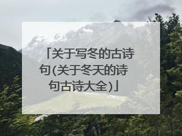关于写冬的古诗句(关于冬天的诗句古诗大全)