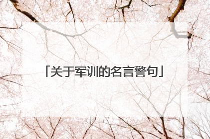 关于军训的名言警句