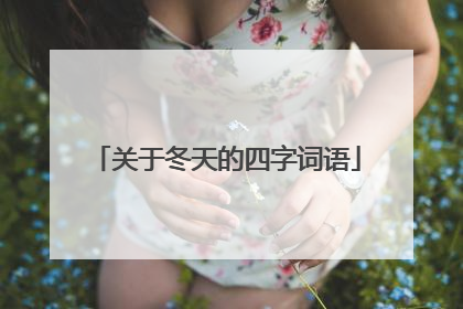 关于冬天的四字词语