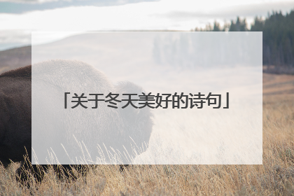 关于冬天美好的诗句