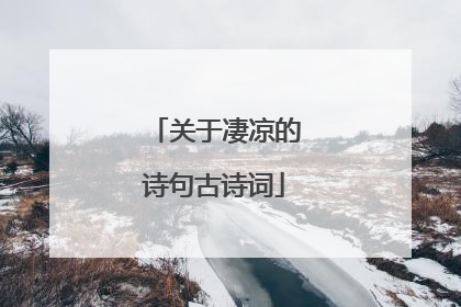 关于凄凉的诗句古诗词