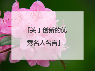 关于创新的优秀名人名言