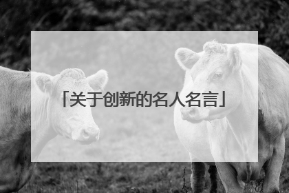 关于创新的名人名言