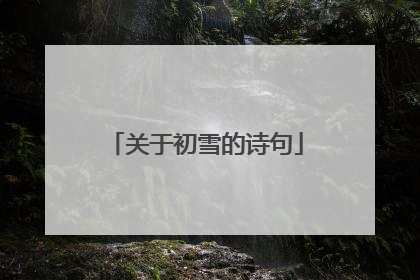 关于初雪的诗句